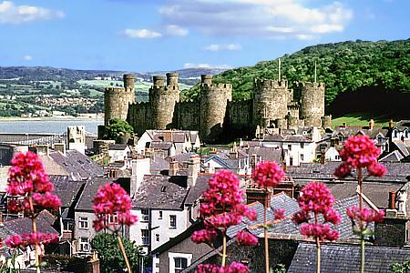 Blick auf Conwy Castle / Wales / Großbritannien (1994)
