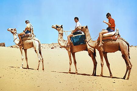 Auf Kamelen durch die Sahara / Ägypten (1992)