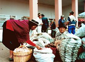 Indio-Markt in Riobamba
