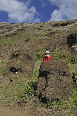 Vergrabene Moai im Rano Raraku
