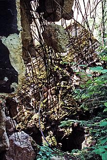 Wolfsschanze