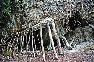 Wolfsschanze