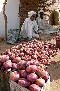 Gemüsehändler in Karima