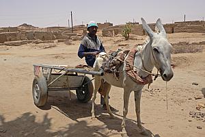 Eselskarren im nördlichen Sudan
